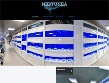 Tablet Screenshot of neptunea.com